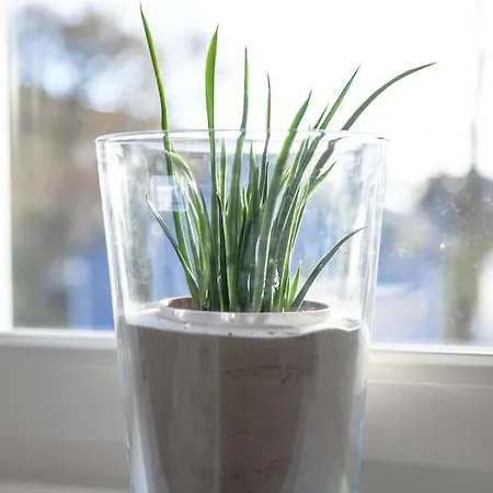 Strandnah, Familienfreundlich, Schoen! Hoppetosse Am Schoenberger Διαμέρισμα Schonberger Strand